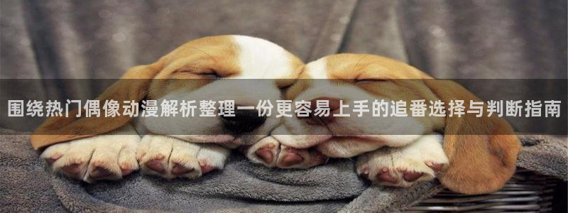 连载动画：围绕热门偶像动漫解析整理一份更容易上手的追番选择与判断指南