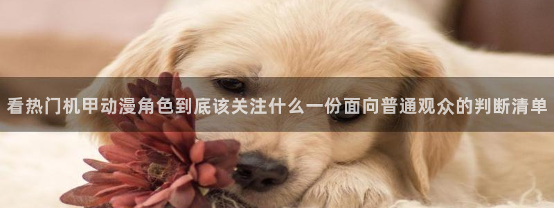 动漫新番榜：看热门机甲动漫角色到底该关注什么一份面向普通观众的判断清单
