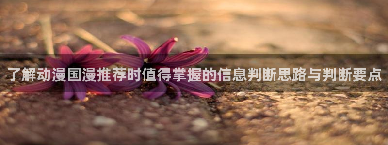 动漫番剧推荐:了解动漫国漫推荐时值得掌握的信息判断思路与判断要点