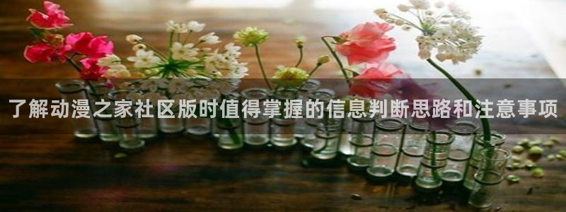 奇幻动漫推荐:了解动漫之家社区版时值得掌握的信息判断思路和注意事项