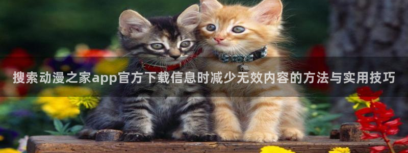 奇幻动漫推荐：搜索动漫之家app官方下载信息时减少无效内容的方法与实用技巧