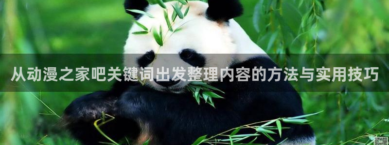 新番动画大全：从动漫之家吧关键词出发整理内容的方法与实用技巧