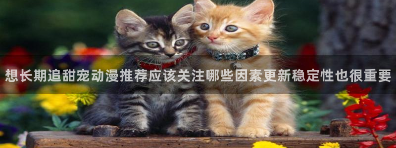 动漫网页入口:想长期追甜宠动漫推荐应该关注哪些因素更新稳定性也很重要