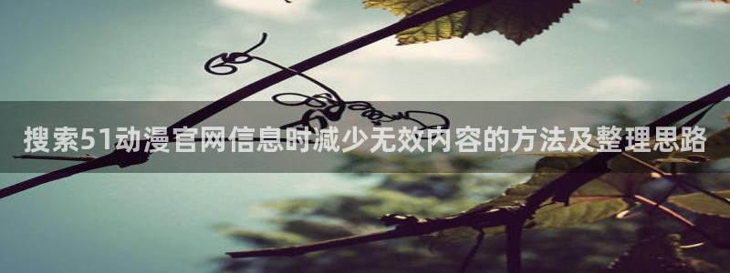 连载动漫：搜索51动漫官网信息时减少无效内容的方法及整理思路