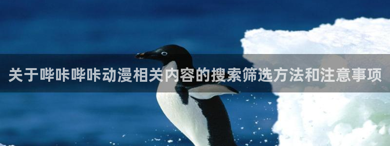 动漫剧情介绍：关于哔咔哔咔动漫相关内容的搜索筛选方法和注意事项