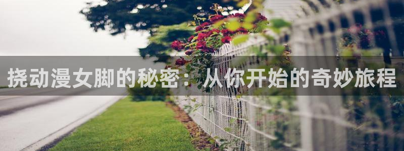 连载动漫：挠动漫女脚的秘密：从你开始的奇妙旅程