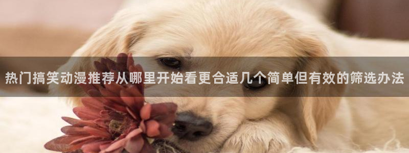 校园动漫推荐:热门搞笑动漫推荐从哪里开始看更合适几个简单但有效的筛选办法
