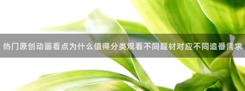 欧美动漫推荐：热门原创动画看点为什么值得分类观看不同题材对应不同追番需求