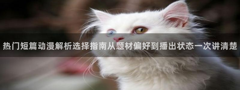 新番动画：热门短篇动漫解析选择指南从题材偏好到播出状态一次讲清楚