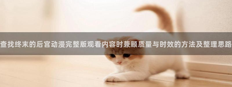 新番动画排行：查找终末的后宫动漫完整版观看内容时兼顾质量与时效的方法及整理思路